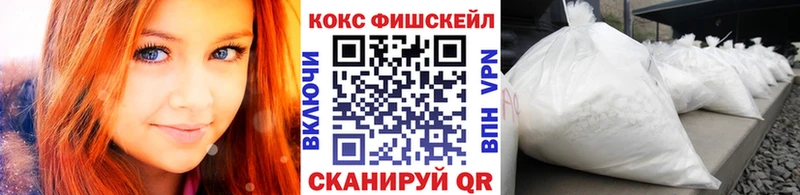darknet наркотические препараты  Новочебоксарск  Cocaine FishScale 