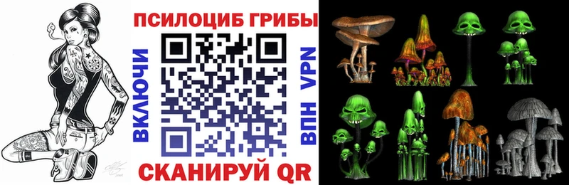 Псилоцибиновые грибы Psilocybe  Новочебоксарск 